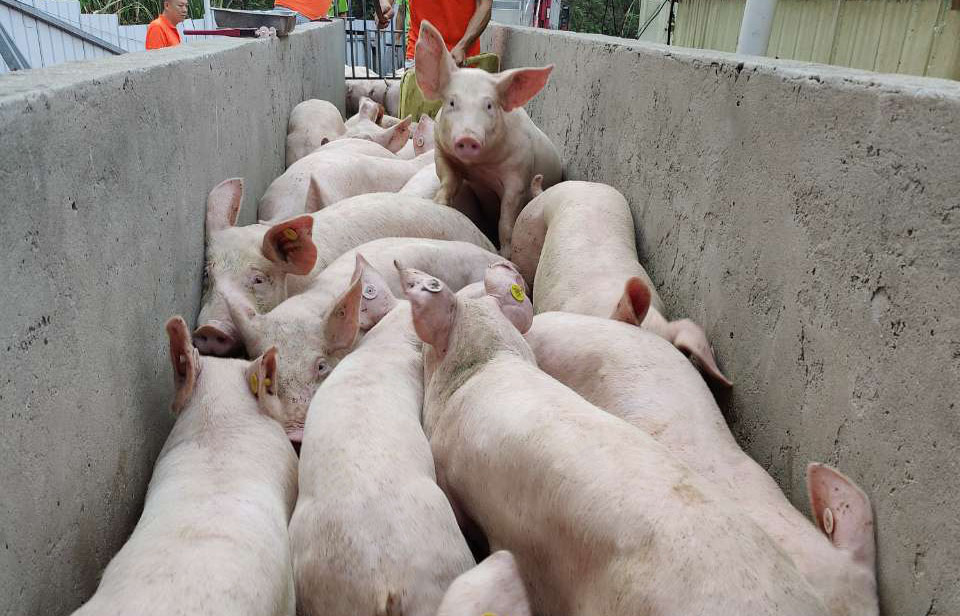 1663381224128841.jpg IMG20220913181546.jpg